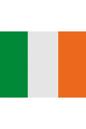 Fahne Irland