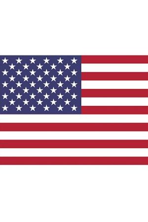 Fahne USA