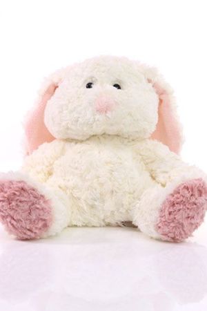 MiniFeet® Hase Wenke