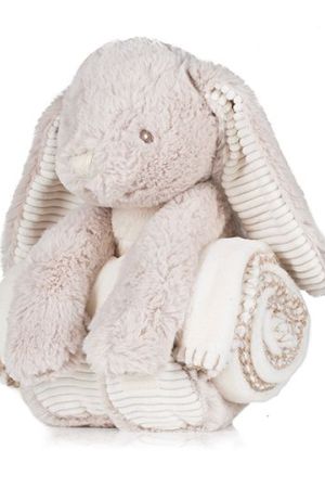 Rabbit And Blanket
