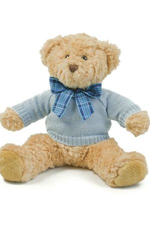 Teddy Jumper