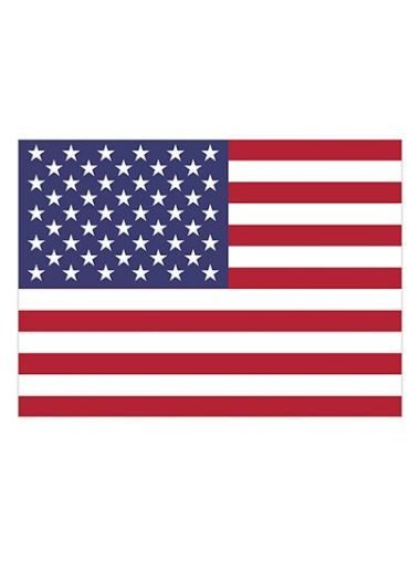 Fahne USA