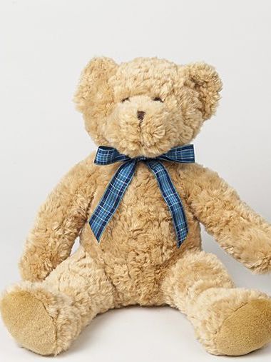 Bracken Bear