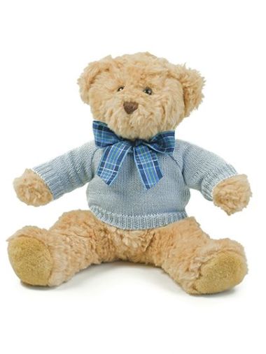 Teddy Jumper