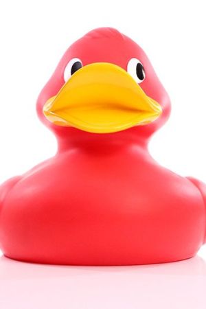 Shop product image!