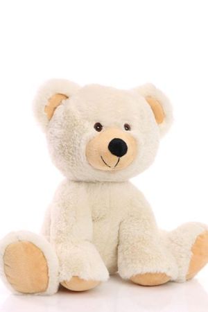 Shop product image!