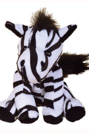 Shop product image!