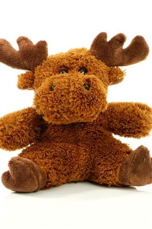 Shop product image!