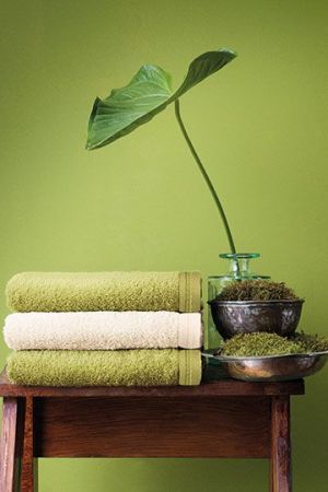 Shop product image!